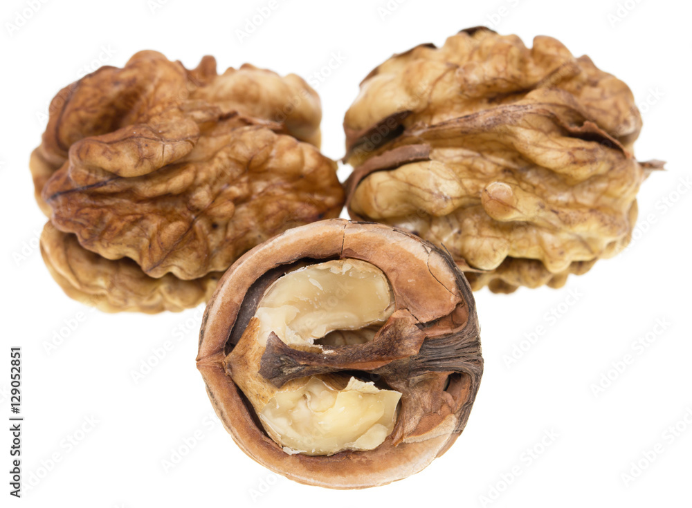 shelled walnuts on a white background shelled walnuts on a white background