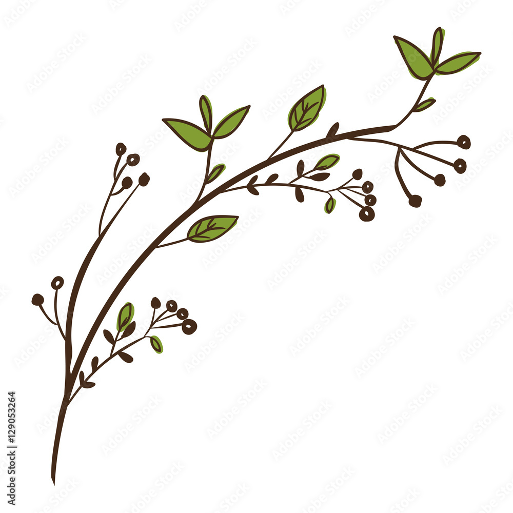 Leaves icon. Plant floral garden decoration and ornament theme. Isolated design. Vector illustration Leaves icon. Plant floral garden decoration and ornament theme. Isolated design. Vector illustration
