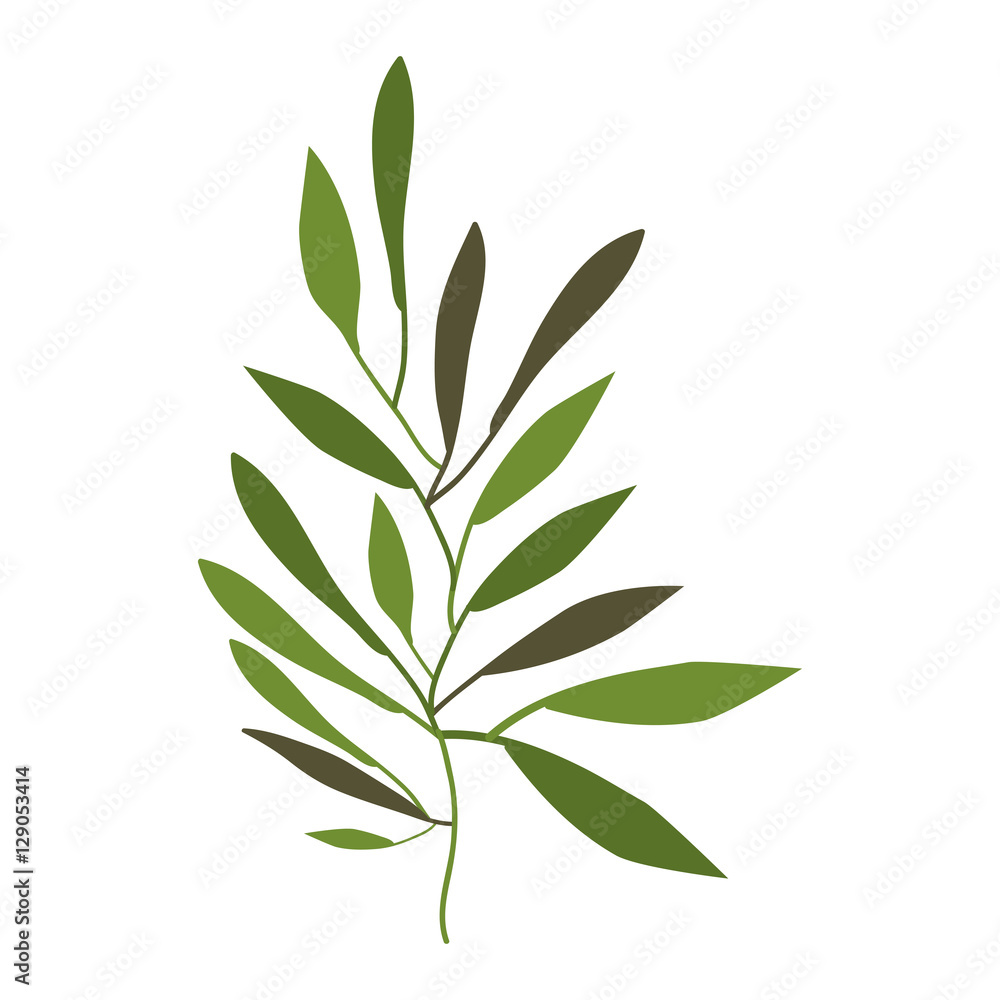 Leaves icon. Plant floral garden decoration and ornament theme. Isolated design. Vector illustration Leaves icon. Plant floral garden decoration and ornament theme. Isolated design. Vector illustration
