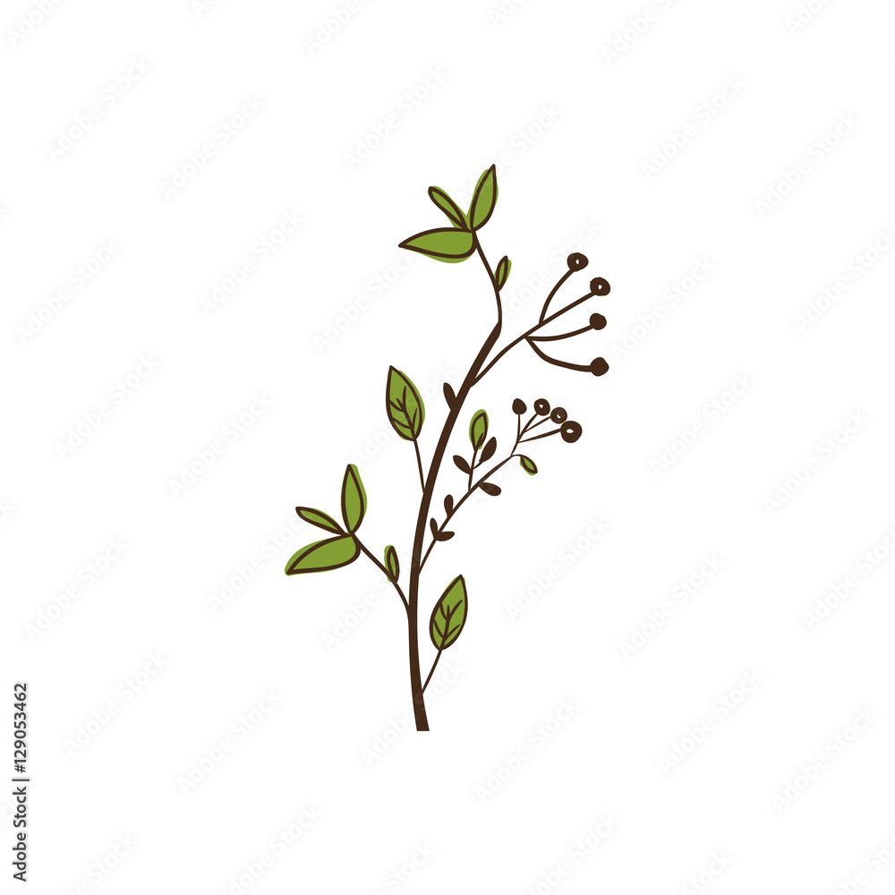 Leaves icon. Plant floral garden decoration and ornament theme. Isolated design. Vector illustration Leaves icon. Plant floral garden decoration and ornament theme. Isolated design. Vector illustration