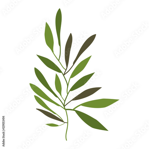 Leaves icon. Plant floral garden decoration and ornament theme. Isolated design. Vector illustration