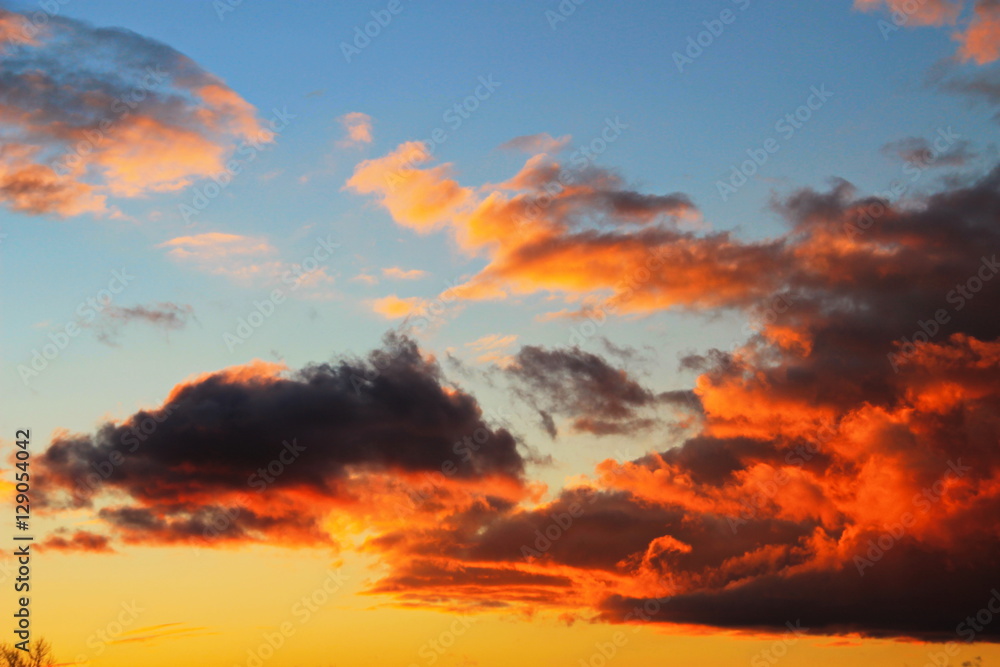 Fototapeta premium Beautiful bright clouds in the sunset sky