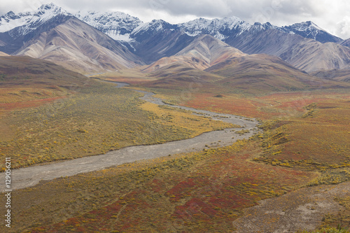 Fall view from Polychrome Pass, Denali National Park, Alaska. © mtnmichelle
