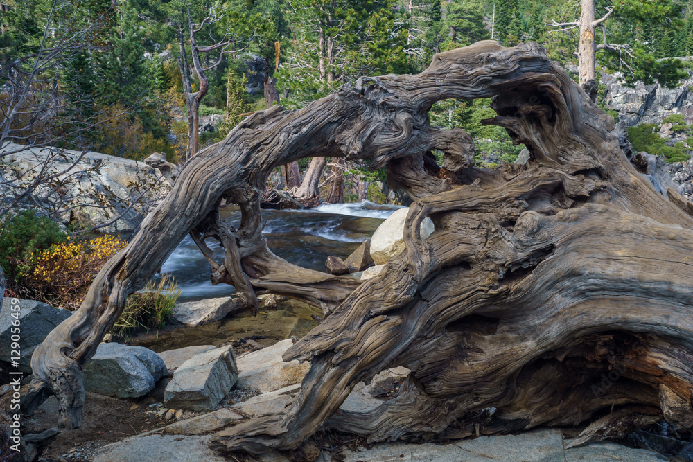 Wonderful Sights and Activities await you in Beautiful Lake Tahoe
Wonderful Sights and Activities await you in Beautiful Lake Tahoe