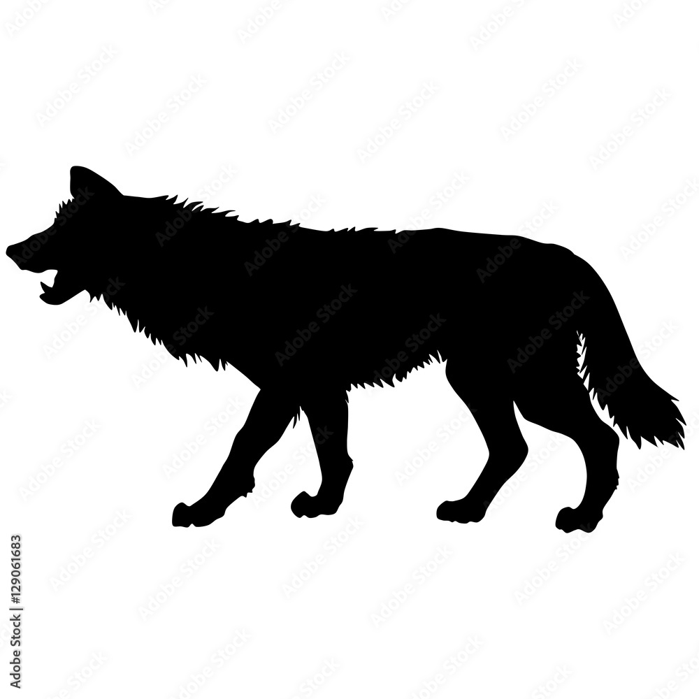  Black and white vector silhouette illustration of a wolf