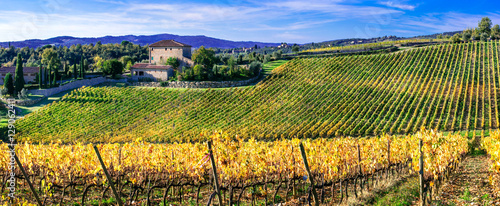 Pictorial Tuscany countryside with wineyards. Italy, Chianti region photo