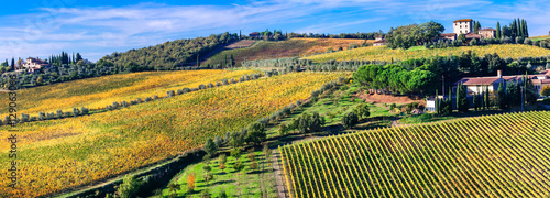 Beautiful Tuscany countryside - vast wineyards in Chianti region photo