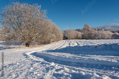 Snowy road in winter time.