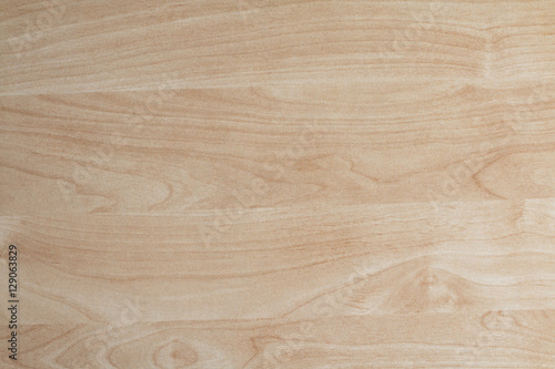 Beech Smooth Wooden Texture photo