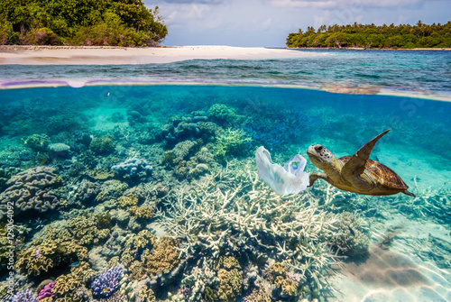 Photography Drifting plastic bag and a turtle in a split shot