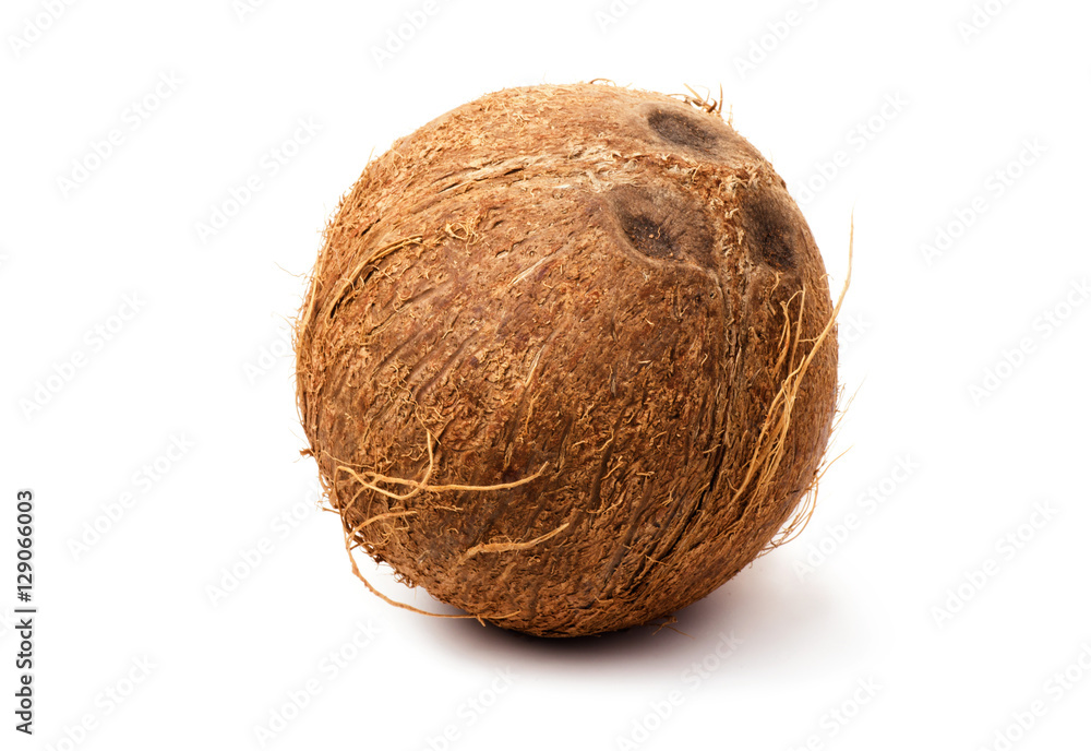 Coconut isolated Coconut isolated