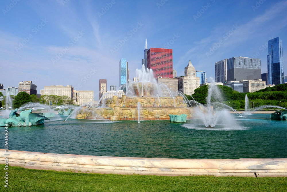 Fototapeta premium Chicago skyline