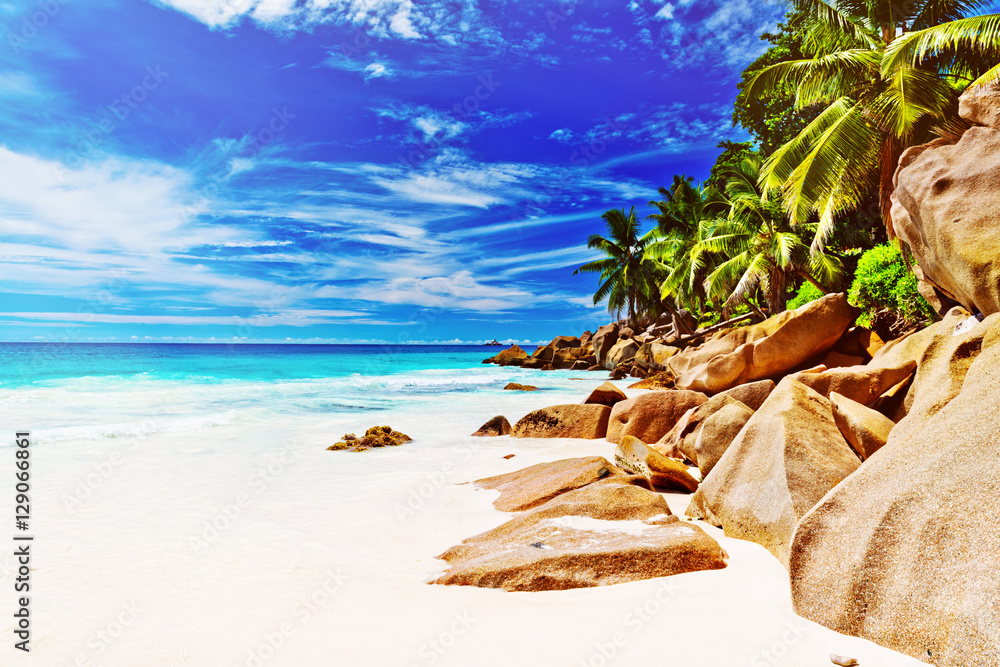 Fototapeta premium Tropical island. The Seychelles.Toned image.