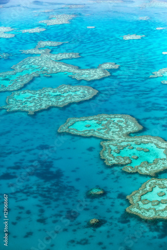 Obraz na płótnie Great Barrier Reef, Australia w salonie