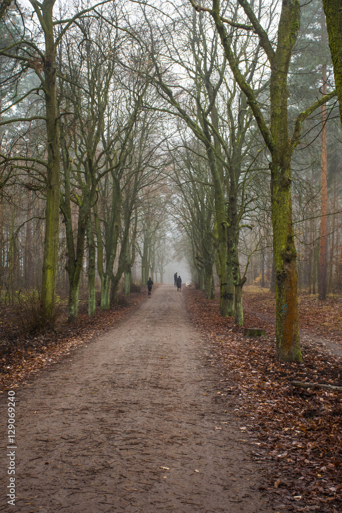 Naklejka premium Grunewald