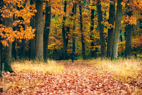 Woman walking on path covered with leaves in autumn forest.