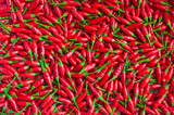 Red chily peppers background