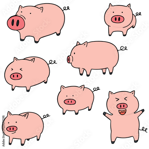 vector set of pig