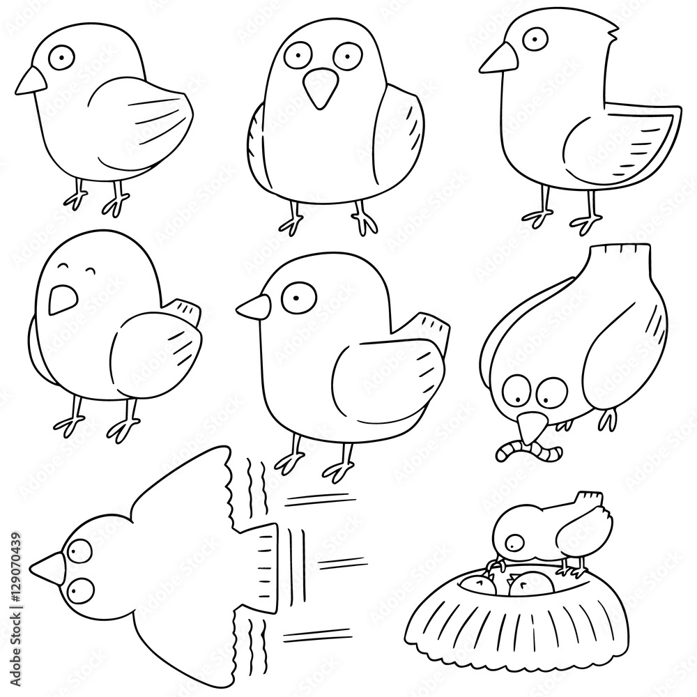 vector set of bird vector set of bird