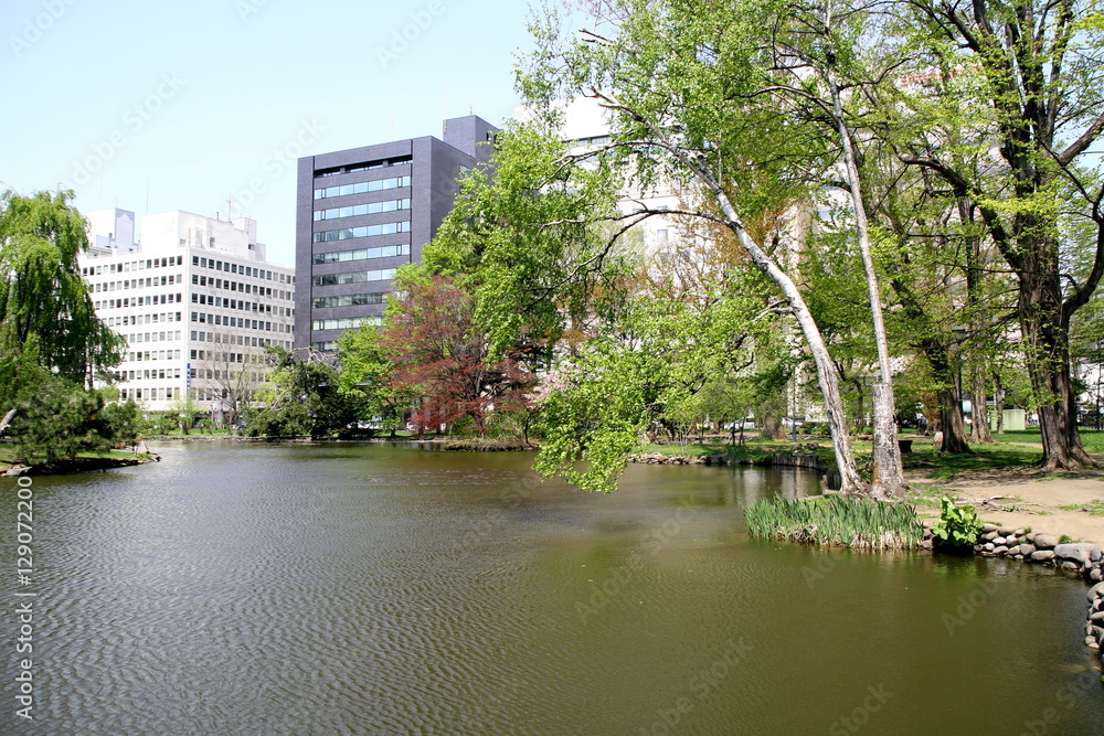 Spring of courtyard of former Hokkaido Government