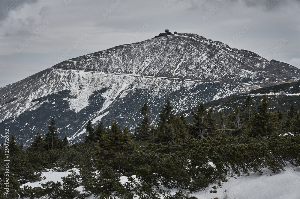 Fototapeta premium Tourists on a mountain trail in the Giant Mountains .