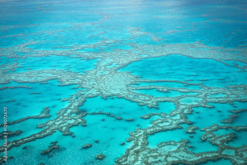 great barrier reef, Queensland, East Coast Australia