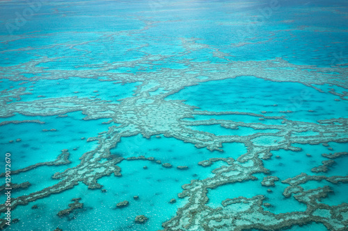Fotografia great barrier reef, Queensland, East Coast Australia