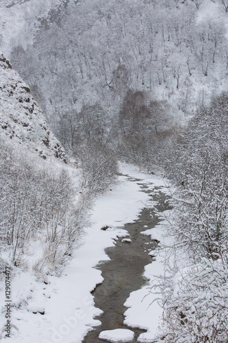 Russia, the Caucasus Mountains, Kabardino-Balkaria. Early in the morning all the trees in the woods covered with frost due to frost.