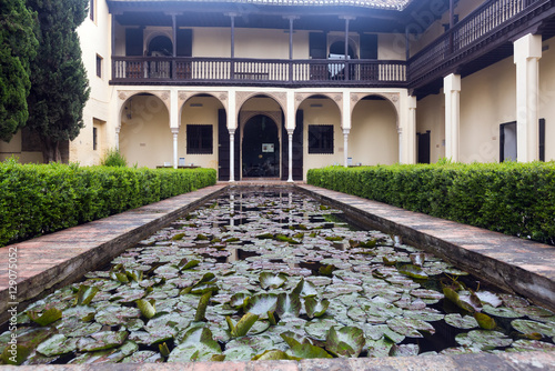 Courtyard of home of Chapiz (Casa del Chapiz).  Granada photo