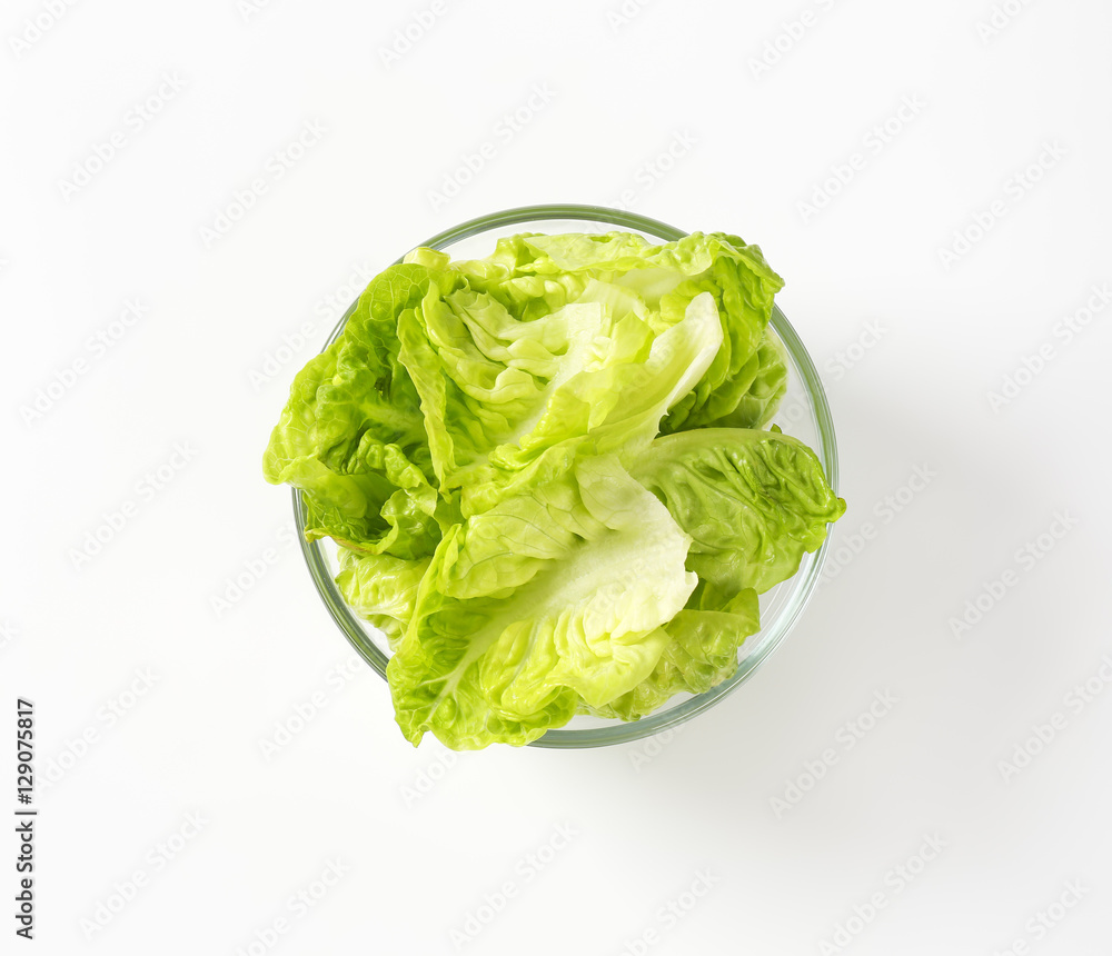 Little gem lettuce Little gem lettuce
