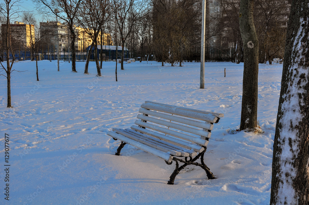  bench in snow in the city park early in the morning