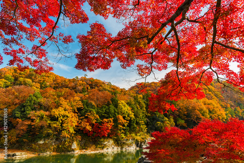 長瀞 秋の紅葉