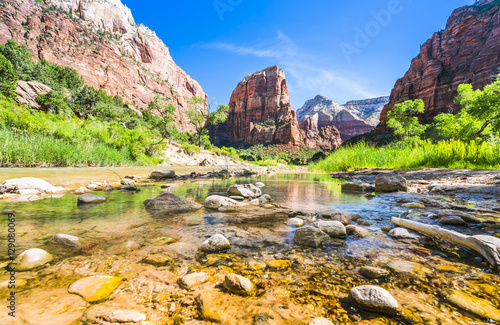 zion national park in summer,Utah,Usa.