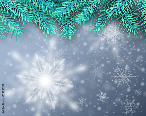 Christmas background, pine tree with snow