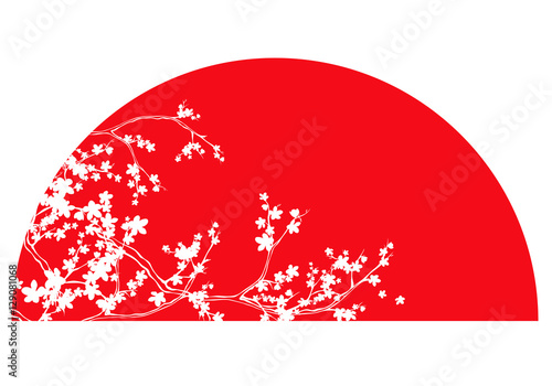 traditional japanese red sun and white sakura branches vector design