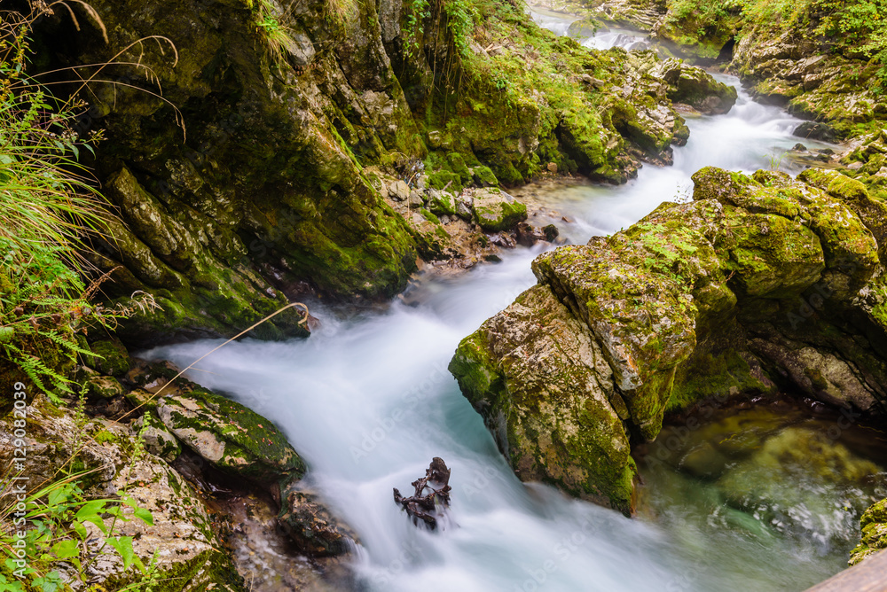 Mountain river Radovna in the Vintgar gorge, a natural Triglav national Park, Slovenia. Mountain river Radovna in the Vintgar gorge, a natural Triglav national Park, Slovenia.