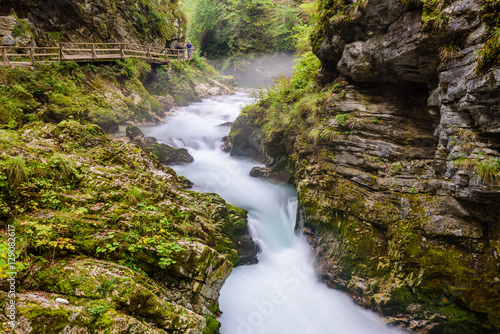 Mountain river Radovna in the Vintgar gorge, a natural Triglav national Park, Slovenia.