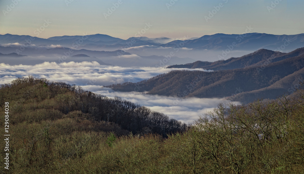 Early Morning, Great Smoky Mountains National Park, North Carolina, USA. Early Morning, Great Smoky Mountains National Park, North Carolina, USA.