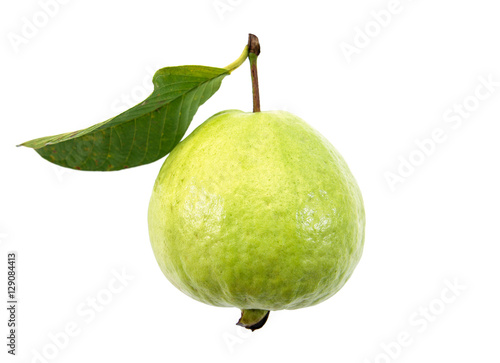 Guava isolated on white background.Fresh guava isolated
