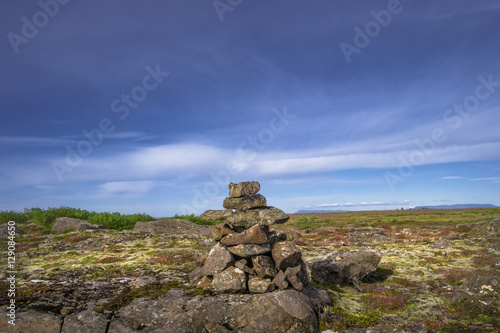 Icelandic colorful and wild landscape at summer © neurobite