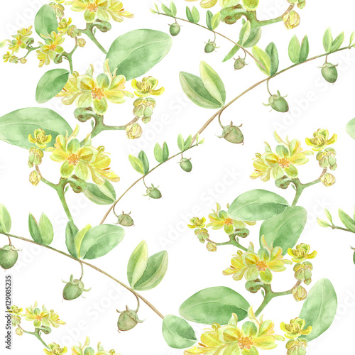 Jojoba - flowers and fruits. Branches. Seamless background. Watercolor painting. Wallpaper.  