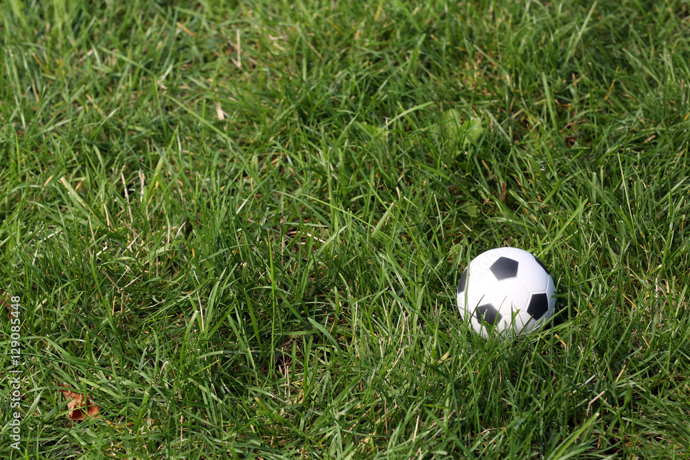 Soccer ball isolated on the field. Close up Soccer ball isolated on the field. Close up