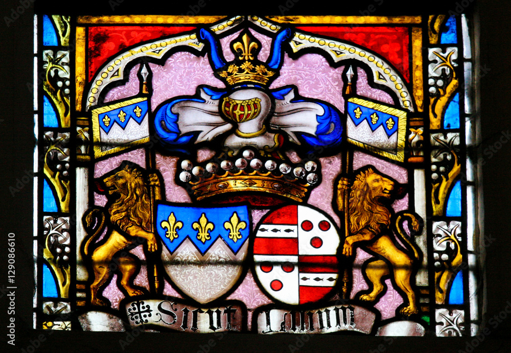Fototapeta premium Stained Glass - Coat of Arms