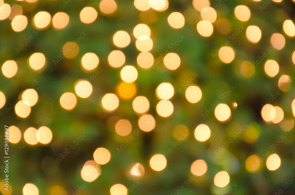 Fototapeta premium Booked Light golden blurry background with a green tree . Bulbs on Bush.