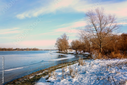 Winter Trees  Close to the Dnieper River © Maxal Tamor