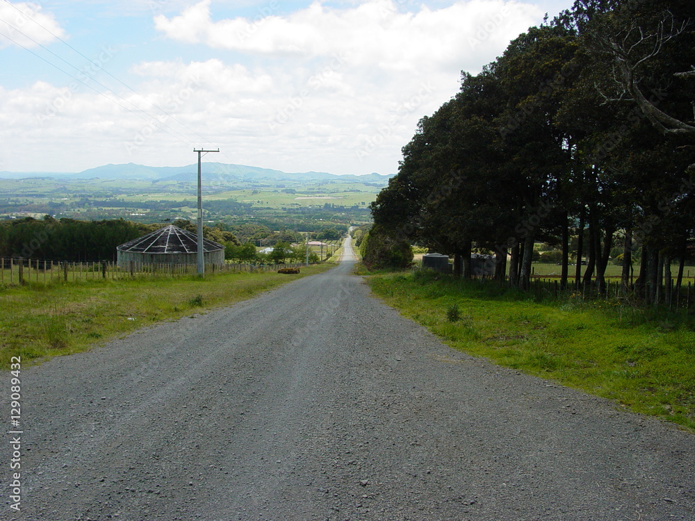 Rural Road in New Zealand