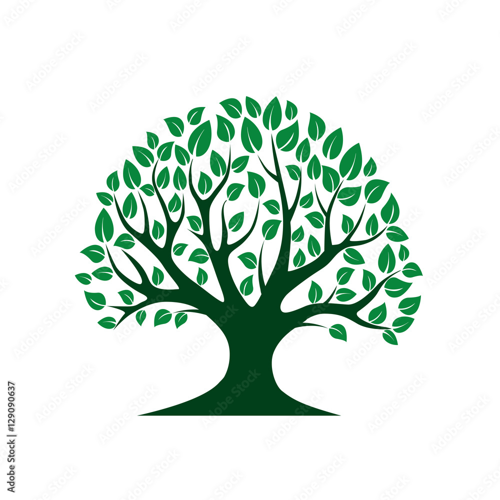 Naklejka premium Green vector Tree. Vector Illustration. Park and Nature.