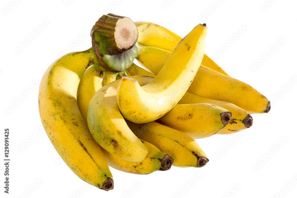 Banana Banana