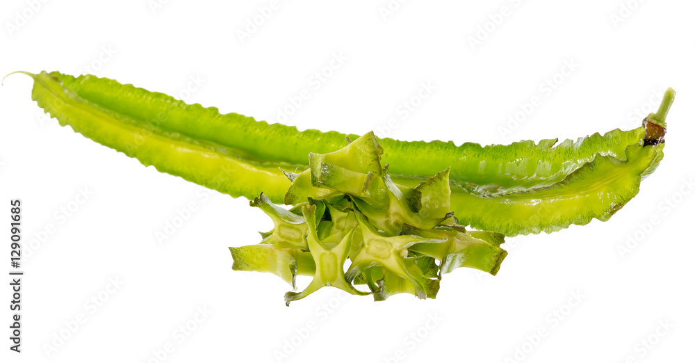 Winged bean Winged bean
