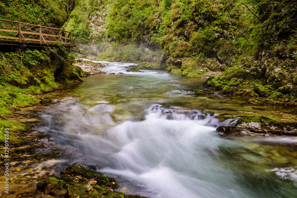 The famous Vintgar gorge Canyon with wooden pats in the natural Park Triglav, Slovenia. The famous Vintgar gorge Canyon with wooden pats in the natural Park Triglav, Slovenia.